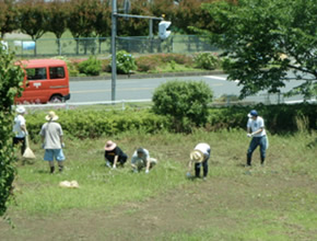 公園除草、植栽管理