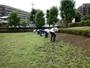 公園除草、植栽管理